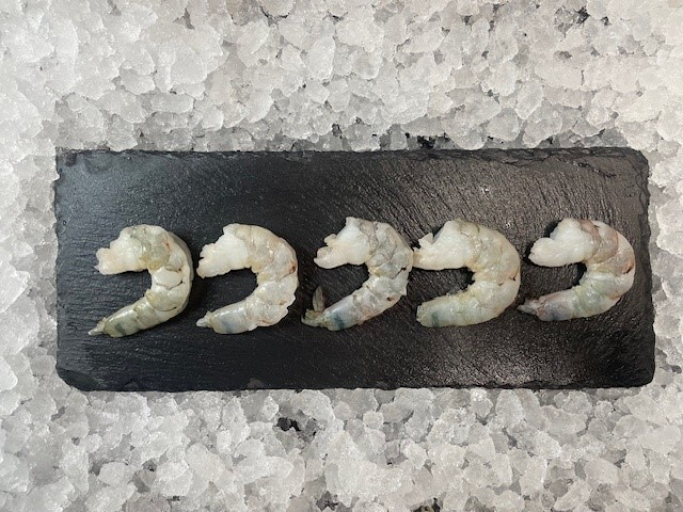 Seefahrtsklause Grömitz Blattsalate mit Black Tiger Garnelen